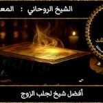 أفضل شيخ لجلب الزوج