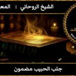 جلب الحبيب مضمون