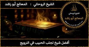 افضل شيخ لجلب الحبيب في النرويج