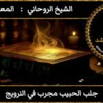 جلب الحبيب مجرب في النرويج