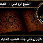 شيخ روحاني جلب الحبيب العنيد